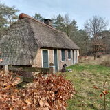 Foto van sylvia