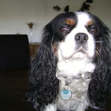 Cissy