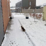 Een witte wereld.