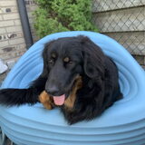 Kleine boef Dustin heeft ontdekt dat een tuinstoel ook comfortabel is.
