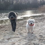 Foto van sylvia