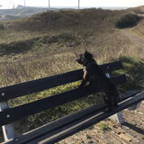Foto van Heidi & Noortje
