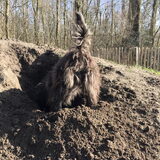 Foto van Heidi & Noortje