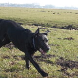 Foto van selma