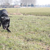 Foto van selma