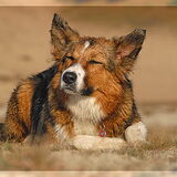 Ons Ejay zus van Cute
