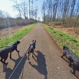 Foto van Hannah & Bink† en Beertje