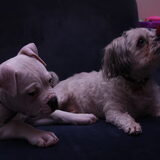 Foto van Helena&Bink