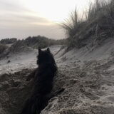 Foto van Heidi & Noortje