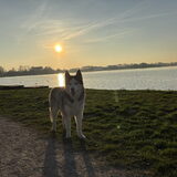 Foto van Lavina