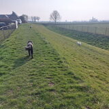 Foto van sylvia