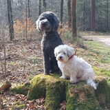 Foto van sylvia