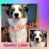 Foto van Danielle, Kyra*Kaylin*, Djaira en Djaidey