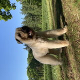 Foto van Baloe