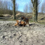 Foto van Suus, Chaos en Senna