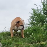 Foto van Heleen