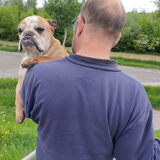 Foto van Heleen