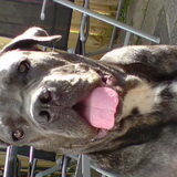 In de tuin
