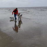 Foto van sylvia