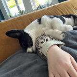 Foto van Jippie