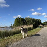 Foto van Lavina