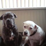 Bella en Angie