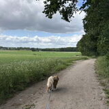 Foto van Marijke - Aila, Dinja & Evi