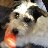 Foto van Heleen
