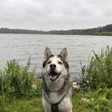 Foto van Lavina