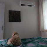 Foto van sylvia