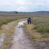Foto van sylvia