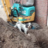 Turbo controleerd ook even of het goed gaat.