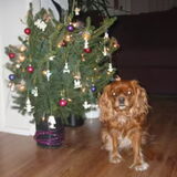 Jingle Bells