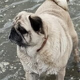Foto van Heleen