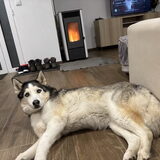 Foto van Lavina