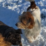 Foto van Heleen