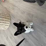 Foto van Jippie