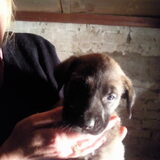 Foto van Sylvia en Django