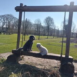Foto van sylvia