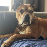 Foto van Tayco