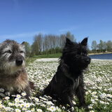 Foto van Heidi & Noortje
