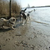 Foto van Nikki