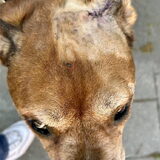 Foto van Tayco