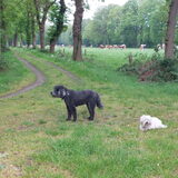 Foto van sylvia