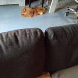 Foto van Peter Cool