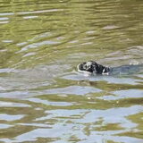 Foto van Botteke en Big Winnie