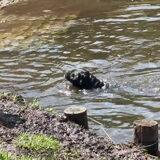 Foto van Botteke en Big Winnie
