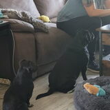 Foto van Botteke en Big Winnie