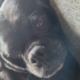 Foto van Botteke en Big Winnie