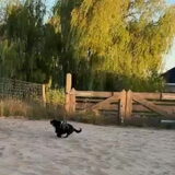 Foto van Botteke en Big Winnie